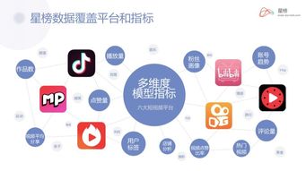 星榜加入中國(guó)商務(wù)廣告協(xié)會(huì)數(shù)字營(yíng)銷(xiāo)委員會(huì) 引領(lǐng)廣告業(yè)務(wù)新篇章